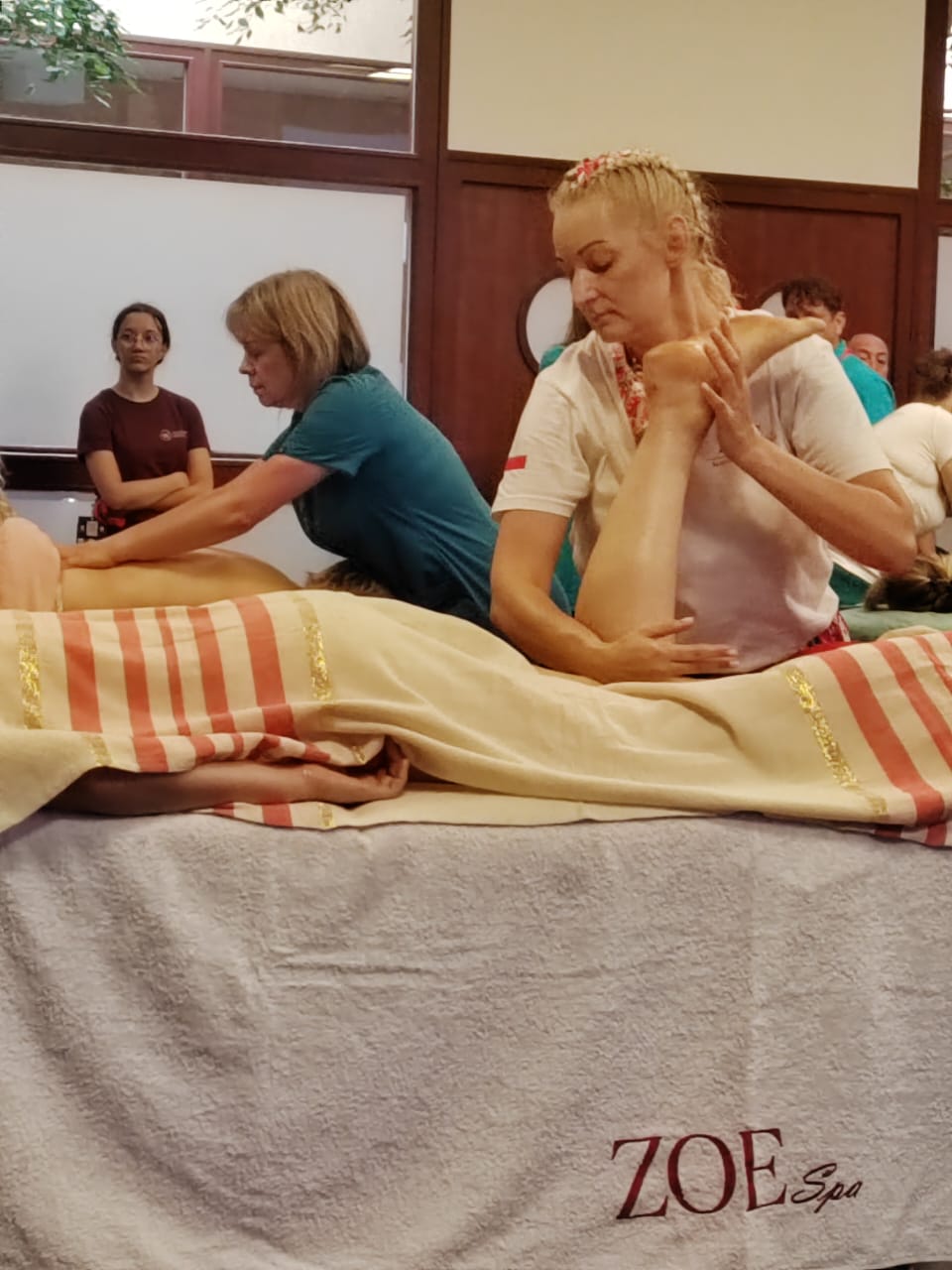 77f98b31-cb9d-4b7f-b481-8d07550c8b32